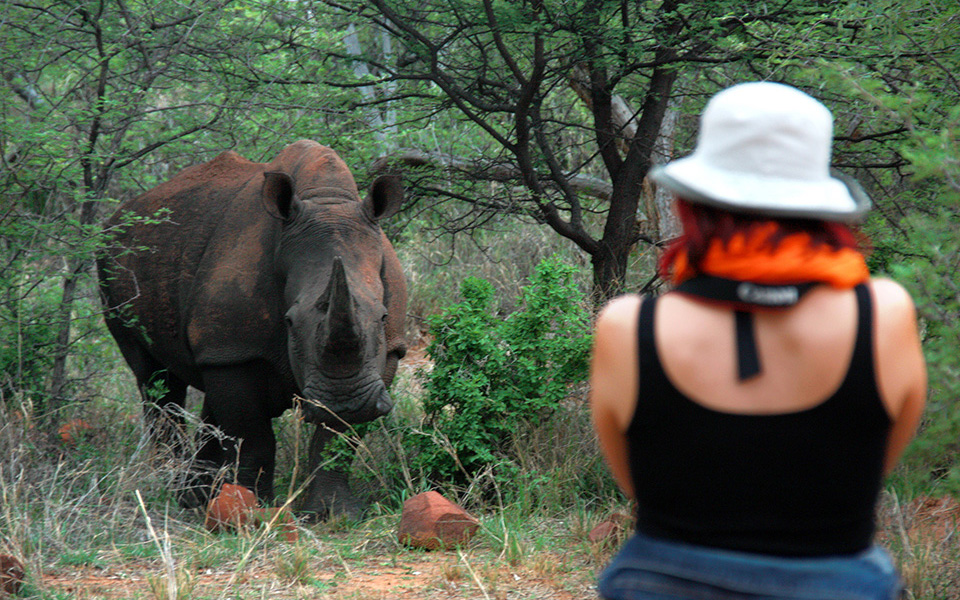 Rhino experience in the Waterberg Wilderness private nature reserve